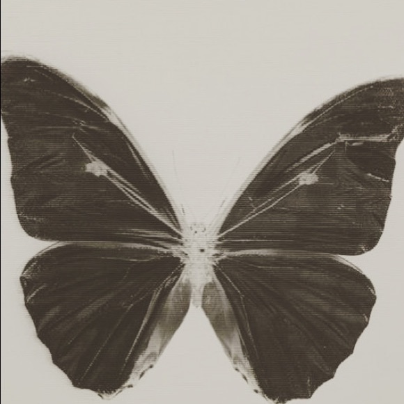 Meet your Posher, Jocelynne - Picture 1 of 1